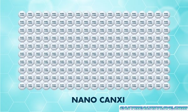 Nano Calcium has 200 times more absorption effect than normal Calcium