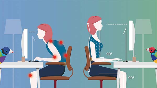 Sitting posture increases height