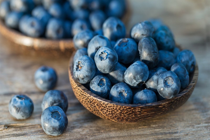 Blueberries are a fruit that improves brain function and prevents short-term memory loss