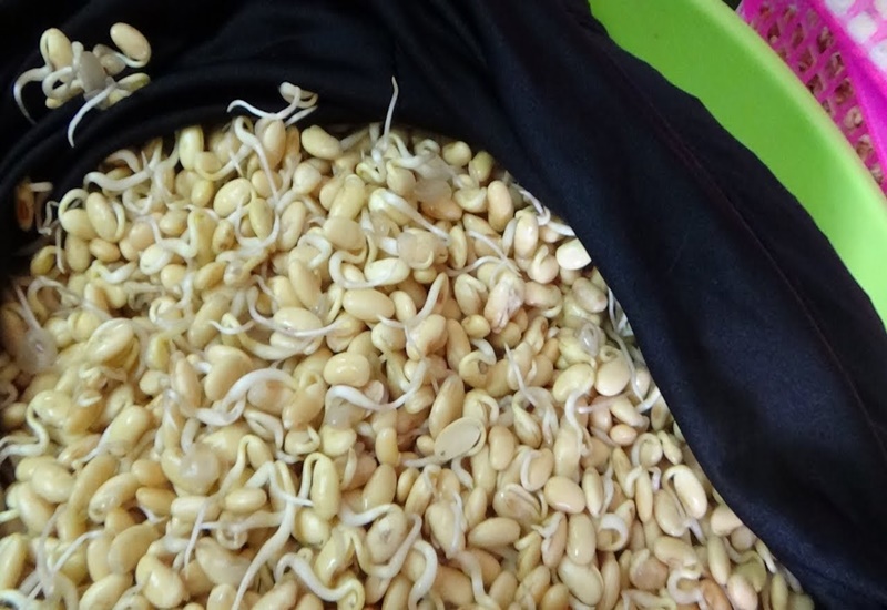 Soybean sprouts can be processed in many different ways